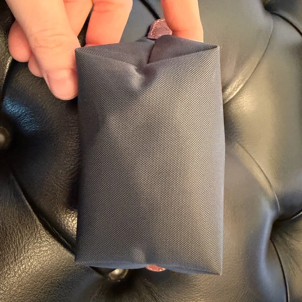 Longchamp Gray Le Pliage Mini Pouch - Picture 3 of 6